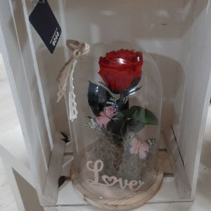 Cúpula de 1rosa preservada
