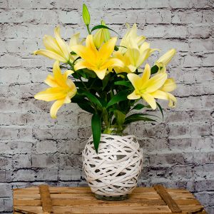 Ramo de Lilium con jarrón