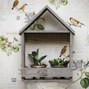 Casita con Cactus
