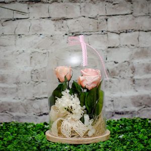 Cúpula de Rosas preservadas