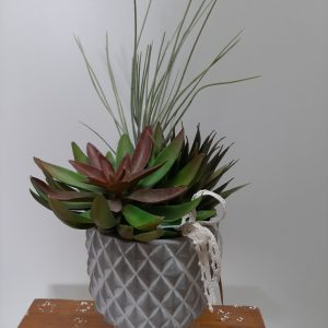 Maceta de plantas crasas artificial